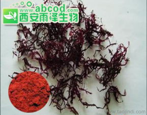 紅藻提取物海藻提取物植物提取物生產(chǎn)廠家價(jià)格 廠家 圖片