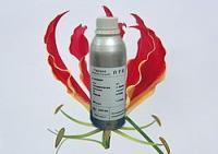 供應(yīng)中藥油OEM/中草藥油/中藥油貼牌廠家[供應(yīng)]_植物提取物_世界工廠網(wǎng)中國(guó)產(chǎn)品信息庫(kù)