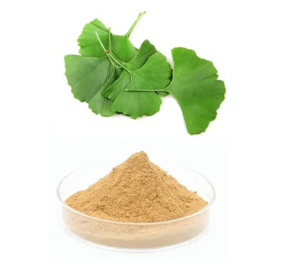 銀杏葉提取物的功能與作用