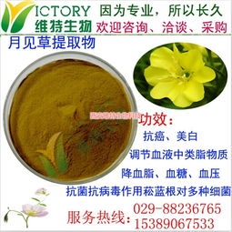 月見草提取物限時促銷，西安維特生物科技為您帶來純正植物精華